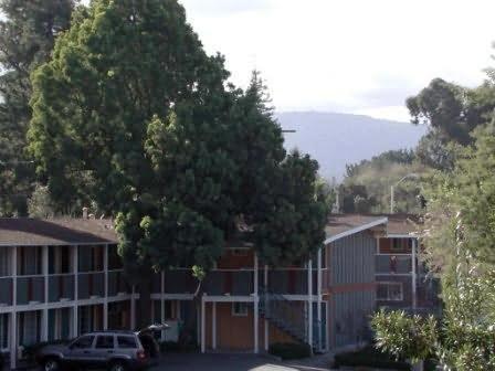 Oak Motel Palo Alto Esterno foto